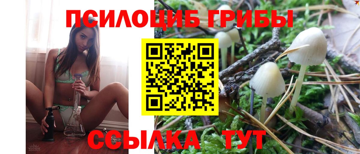 Псилоцибиновые грибы Psilocybine cubensis  Вход с VPN  Верхняя Салда 